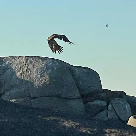 Lofoten_beach_eggum_cabin Holiday home *